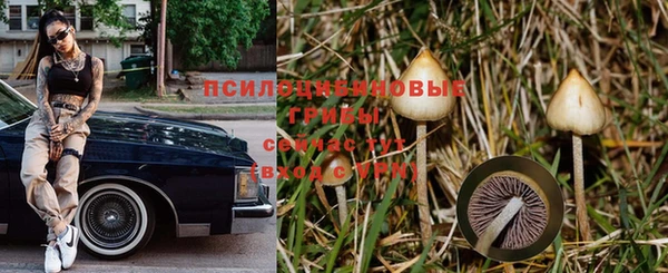 ГАЛЛЮЦИНОГЕННЫЕ ГРИБЫ Алексин