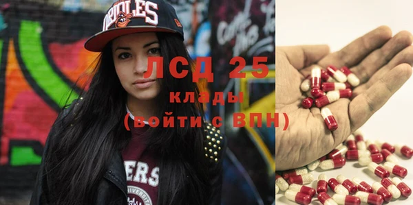ГАЛЛЮЦИНОГЕННЫЕ ГРИБЫ Алексин